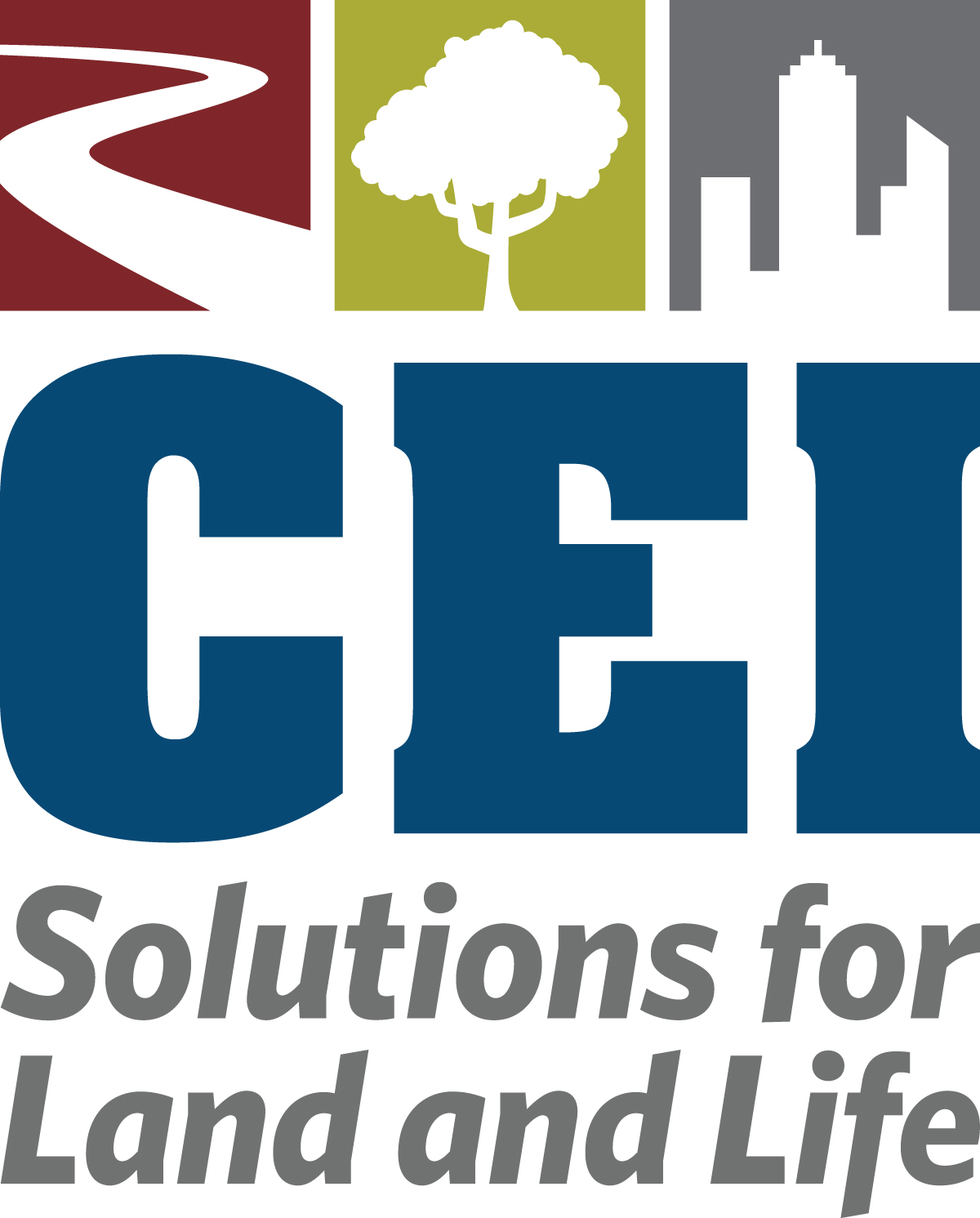 CEI Engineering Associates, Inc.